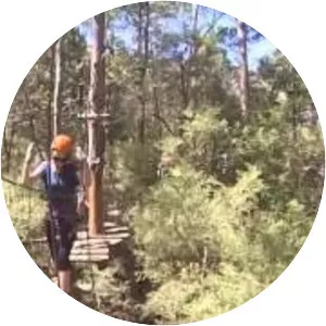 TreeTops Central Coast