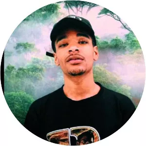 Treez LowKey - Musical artist