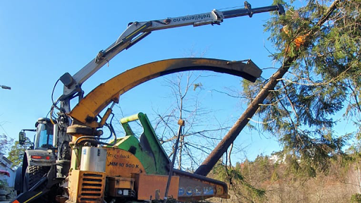 Trefellerne AS - Trefelling i Drammen og omegn - Tree service in Konnerud, Norway