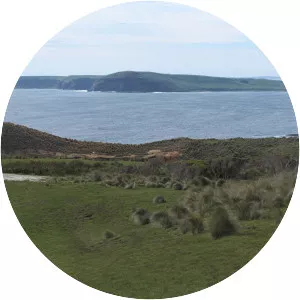 Trefoil Island