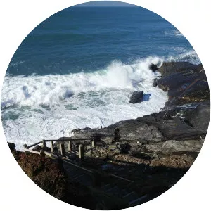 Tregardock and Treligga - 