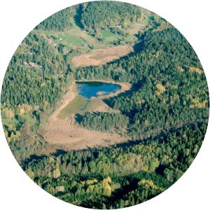 Trehörningsskogen - 