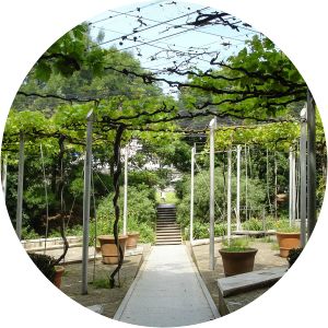Treille Garden Paris - 