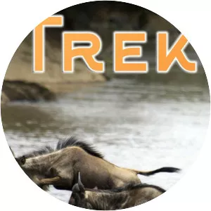 Trek: Spy on the Wildebeest