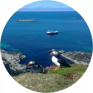 Treshnish Isles - Archipelago in Scotland