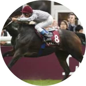 Treve