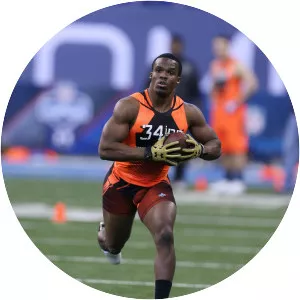 Trey Williams Musician