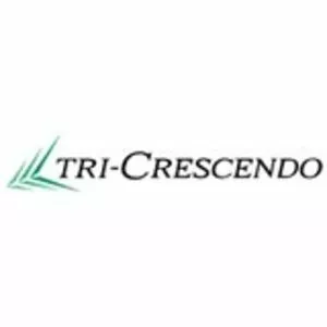 tri-Crescendo - Video game developer