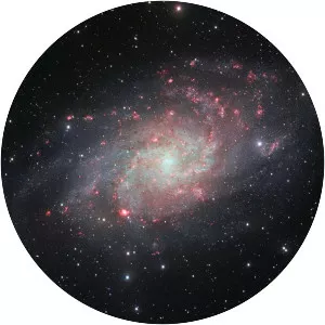 Triangulum Galaxy - 