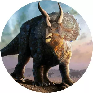 Triceratops - 
