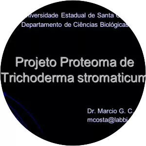 Trichoderma stromaticum