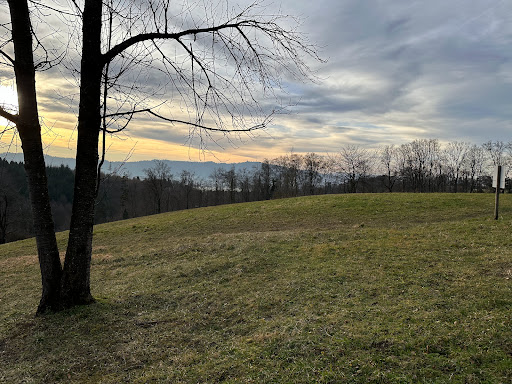 Trichtenhausenfussweg