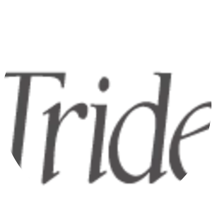 Trident Microsystems