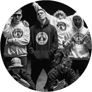 triestri - Musical artist