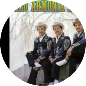 Trio Armonia Huasteca