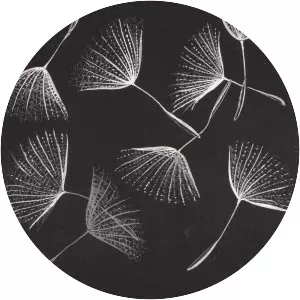 Trio Coltri Menduto Morelli