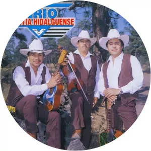 Trio Dinastia Hidalguense - Musical artist