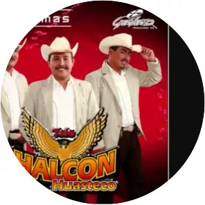 Trio Halcon Huasteco