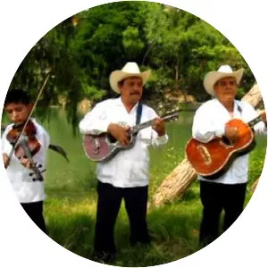 Trío Tamazunchale - Musical artist