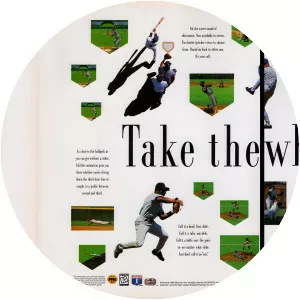 Triple Play - Video game series