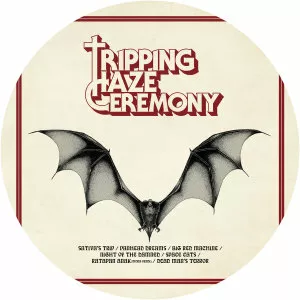 Tripping Haze Ceremony - Musical group