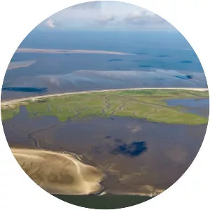 Trischen - Island in Friedrichskoog, Germany