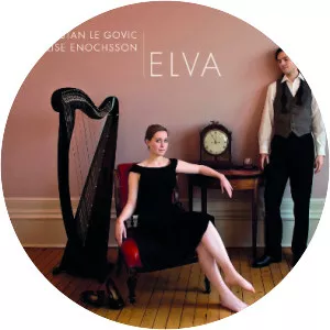 Tristan Le Govic - Musician