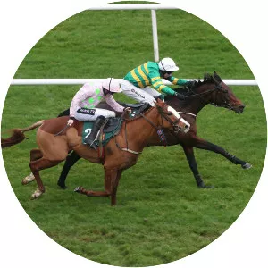 Triumph Hurdle - 