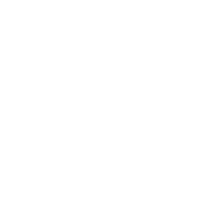 Triumph Motorcycles Ltd - Company