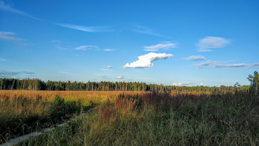 Trokhgorskiy Les - Tree farm in Russia