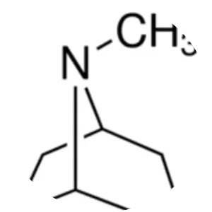 Tropane - Chemical compound