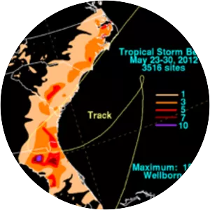 Tropical Storm Beryl - 2012 tropical cyclone