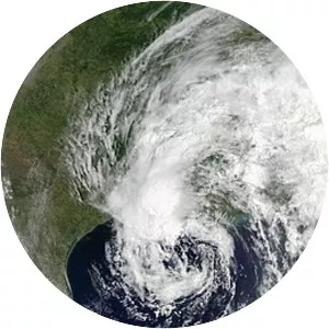 Tropical Storm Cindy