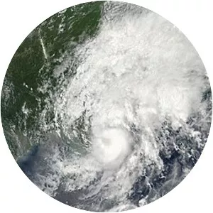 Tropical Storm Ewiniar - 2018 tropical cyclone