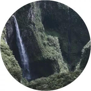 Trou de Fer - Canyon in Réunion