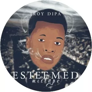 Troy Dipa
