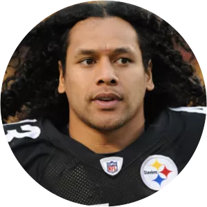 Troy Polamalu - American football player