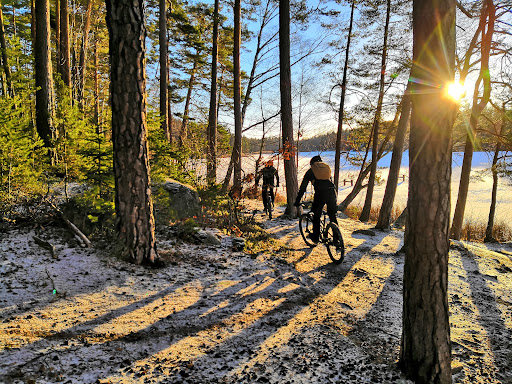 True Nature Sweden AB - Outdoor activity organiser in Sweden