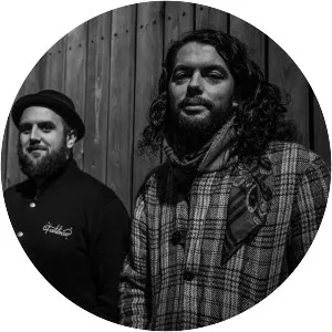 True Strays - Musical artist