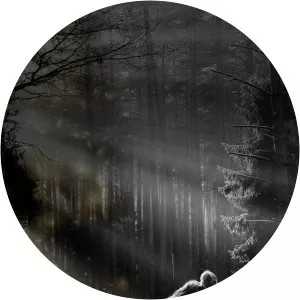 True SupernaturalSince 2015