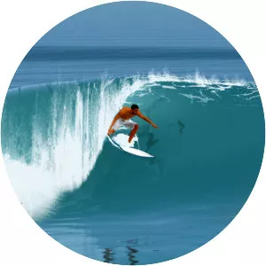 True Surf - Video game