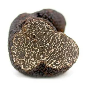 Truffle