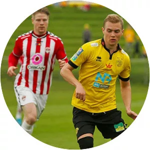 Tryggvi Hrafn Haraldsson - Icelandic footballer