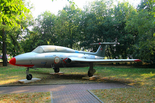 Tsentral'nyy Sovet Dosaaf Rossii