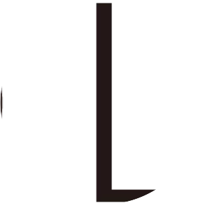 TSI HOLDINGS CO. ,LTD.