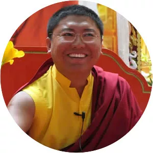 Tsoknyi Rinpoche - Teacher