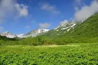 Tsugaike Natural Garden - 