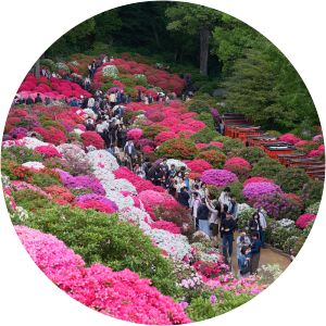 Tsutsujijaya Bunkyo City