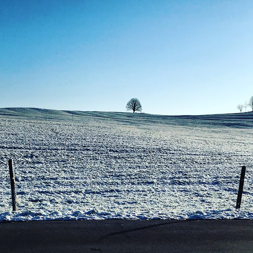 TSV Irschenberg e.v. - Sports club in Irschenberg, Germany