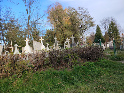 Tsvyntar U Stebnyku - Cemetery in Stebnyk, Ukraine